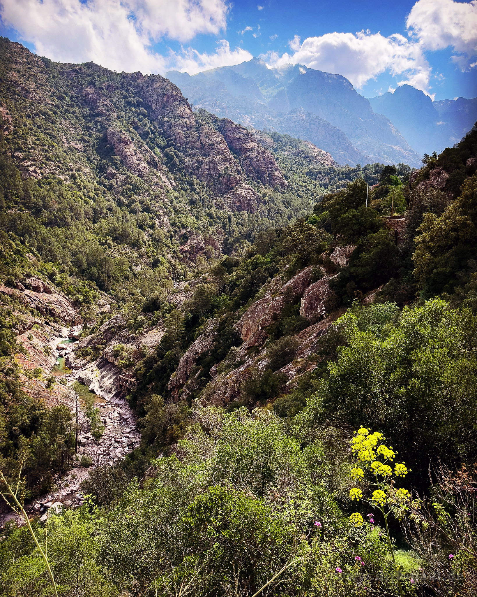 81055D39-F1C1-4DD8-8F77-E1D27C87724B