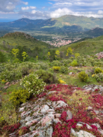 Korsika, Frankreich, Copyright 2024 by Dirk Paul