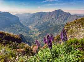 Madeira, Portugal,  Copyright 2023 by Dirk Paul : 2023, Madeira, Wikinger
