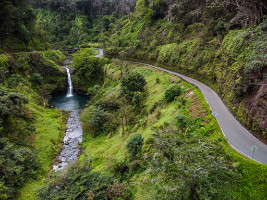 Road to Hana - Maui - Hawaii - Copyright by Dirk Paul