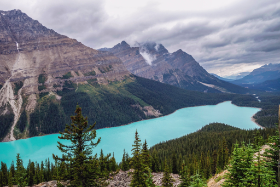 Kanada - Peyto Lake - Copyright by Dirk Paul : 2018, Kanada