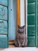Venedig - Burano  - Copyright by Dirk Paul : Venedig 2026