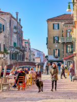 Venedig - Copyright by Dirk Paul : Venedig 2026