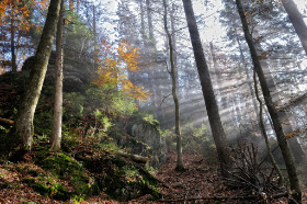 Bayerischer Wald Copyright 2011 by Dirk Paul