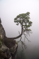 Bastei, Copyright 2017 by Dirk Paul : Bastei, Elbsandsteingebirge