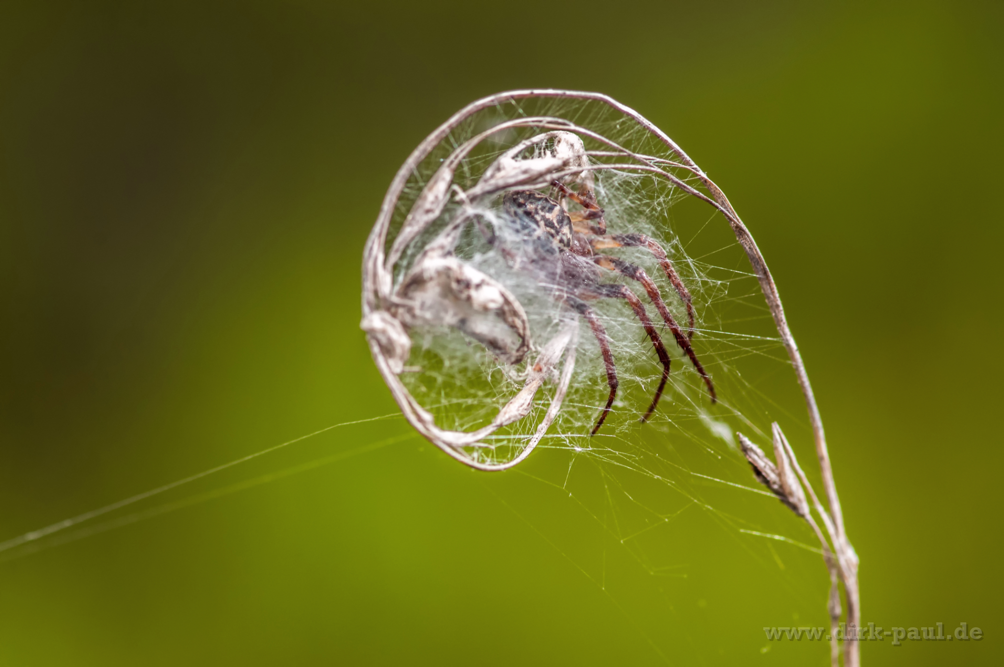 DDP 5763-Bearbeitet-1