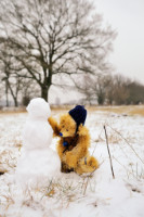 ... baut einen Schneemann im Nuturschutzgebiet Höltigbaum Copyright 2012 by Dirk Paul